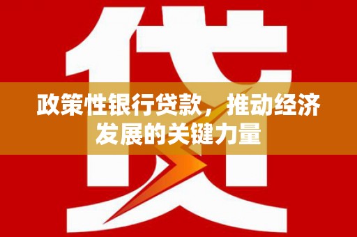 新安政策性银行贷款，推动经济发展的关键力量