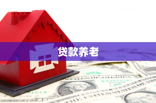 新安贷款养老