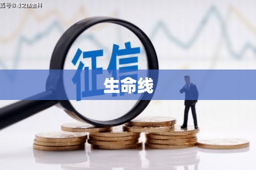 新安生命线