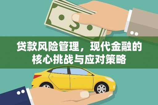 新安贷款风险管理，现代金融的核心挑战与应对策略