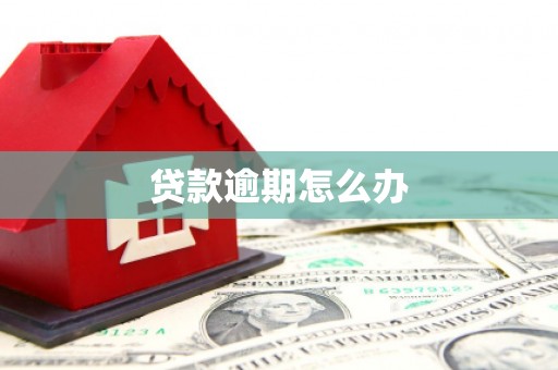 新安贷款逾期怎么办