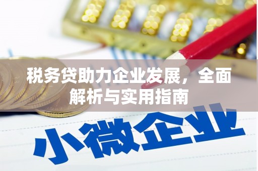 新安税务贷助力企业发展，全面解析与实用指南