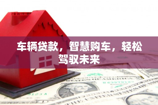 新安车辆贷款，智慧购车，轻松驾驭未来