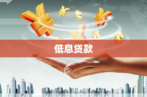 新安低息贷款