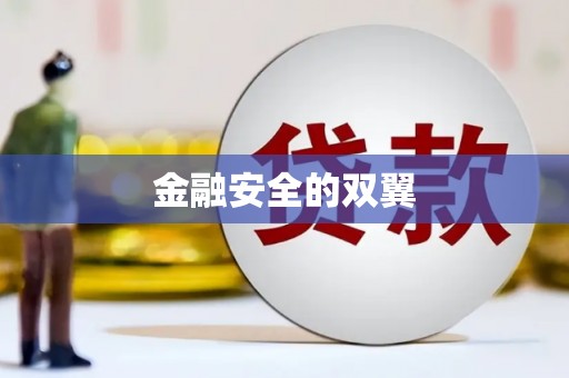 新安金融安全的双翼