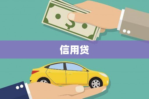 新安信用贷
