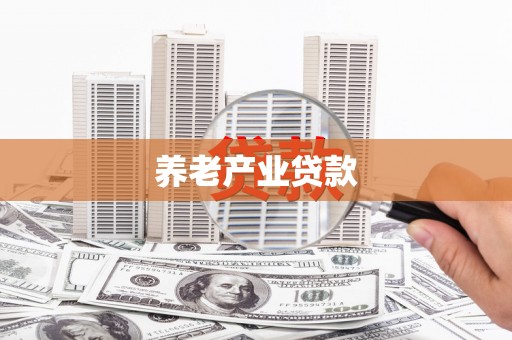 新安养老产业贷款