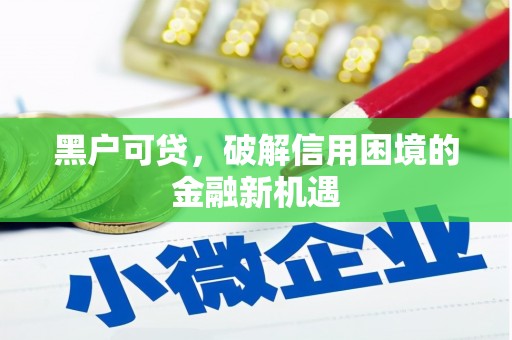 新安黑户可贷，破解信用困境的金融新机遇