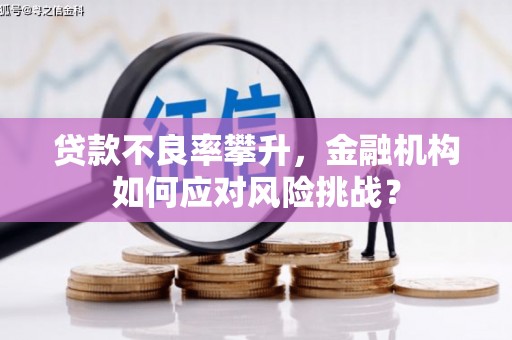 新安贷款不良率攀升，金融机构如何应对风险挑战？