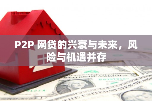 新安P2P 网贷的兴衰与未来，风险与机遇并存