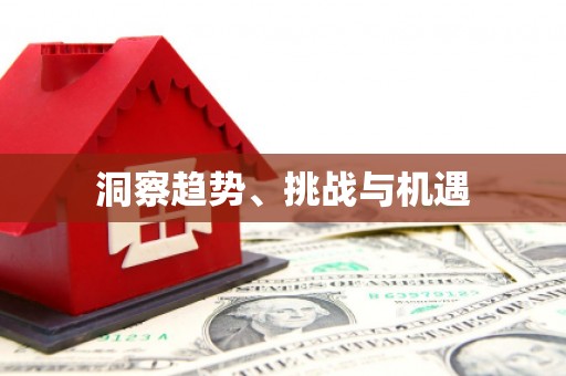 新安洞察趋势、挑战与机遇