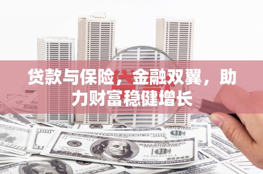 新安贷款与保险，金融双翼，助力财富稳健增长