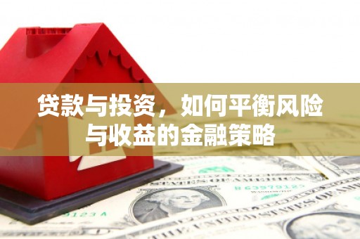 新安贷款与投资，如何平衡风险与收益的金融策略