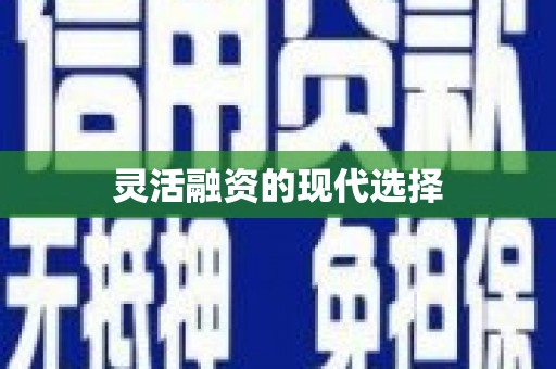 新安灵活融资的现代选择