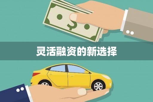 新安灵活融资的新选择