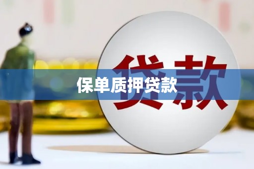 新安保单质押贷款