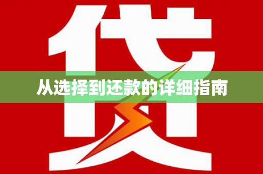 新安从选择到还款的详细指南