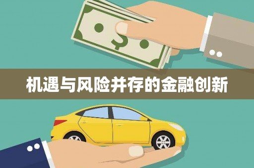 新安机遇与风险并存的金融创新