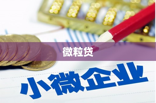新安微粒贷