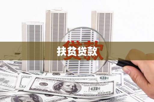 新安扶贫贷款