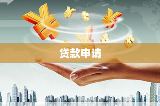新安贷款申请