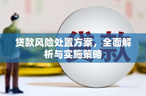 新安贷款风险处置方案，全面解析与实施策略