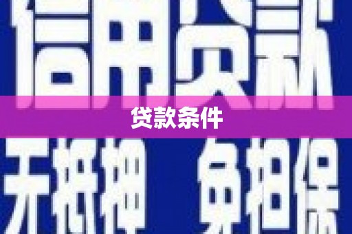 新安贷款条件