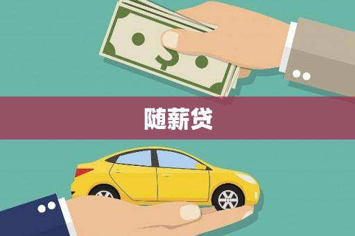 新安随薪贷
