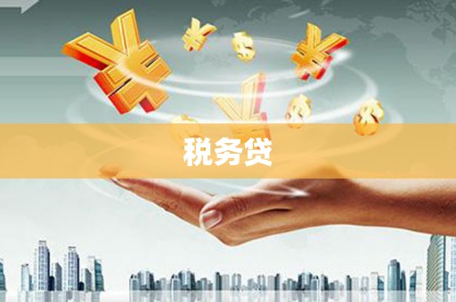 新安税务贷