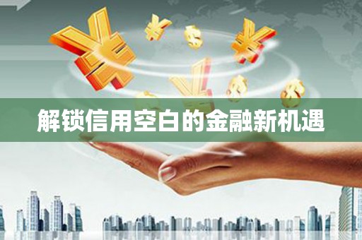 新安解锁信用空白的金融新机遇