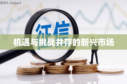 新安机遇与挑战并存的新兴市场
