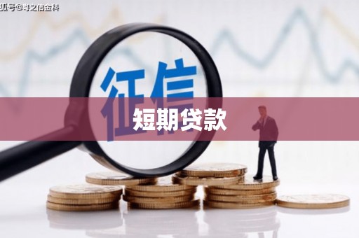 新安短期贷款